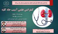 آسیب حاد کلیه
